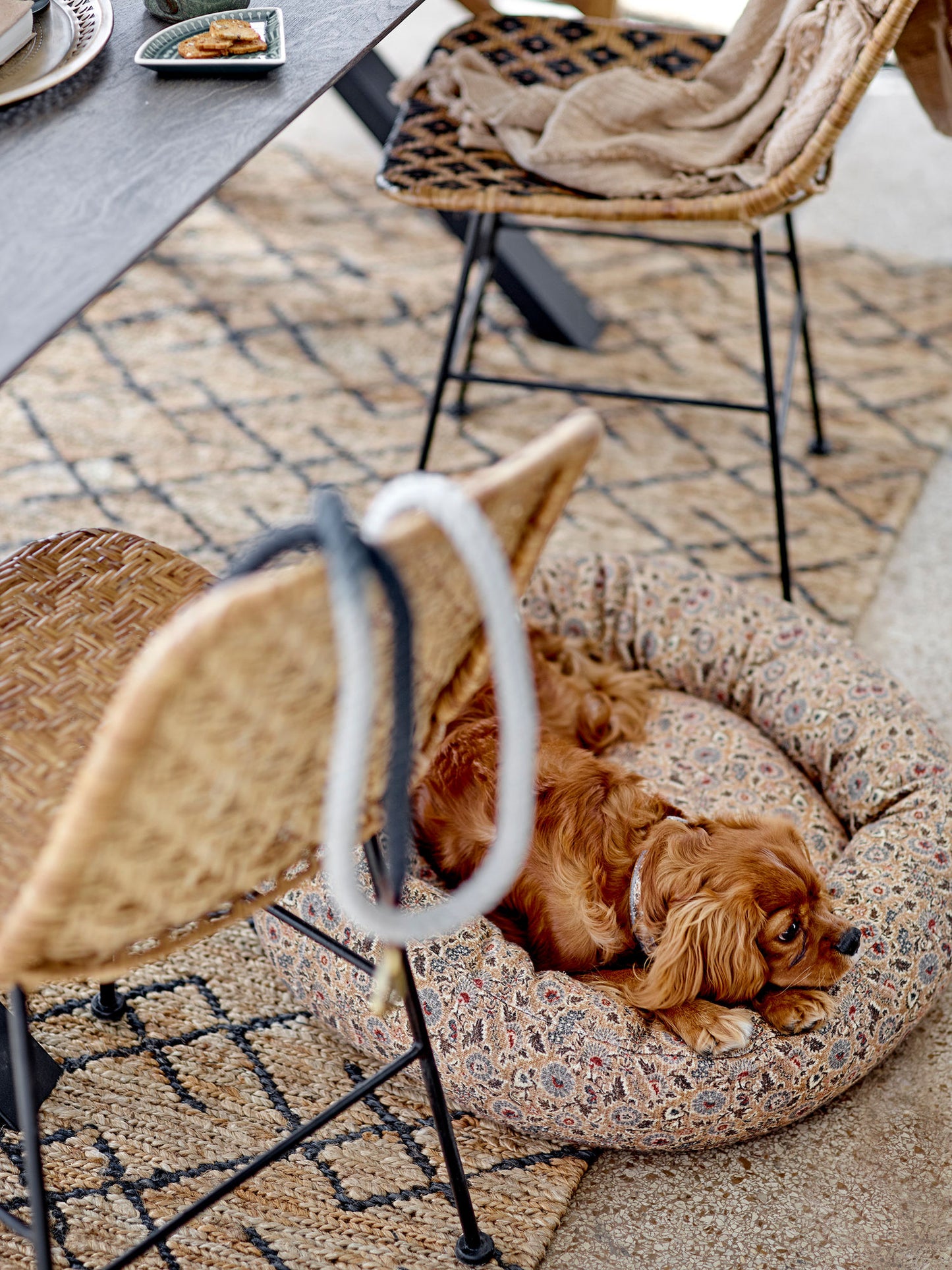 Vittoria hundekurv 60xH15 cm i bomuld – brun hundeseng fra Bloomingville