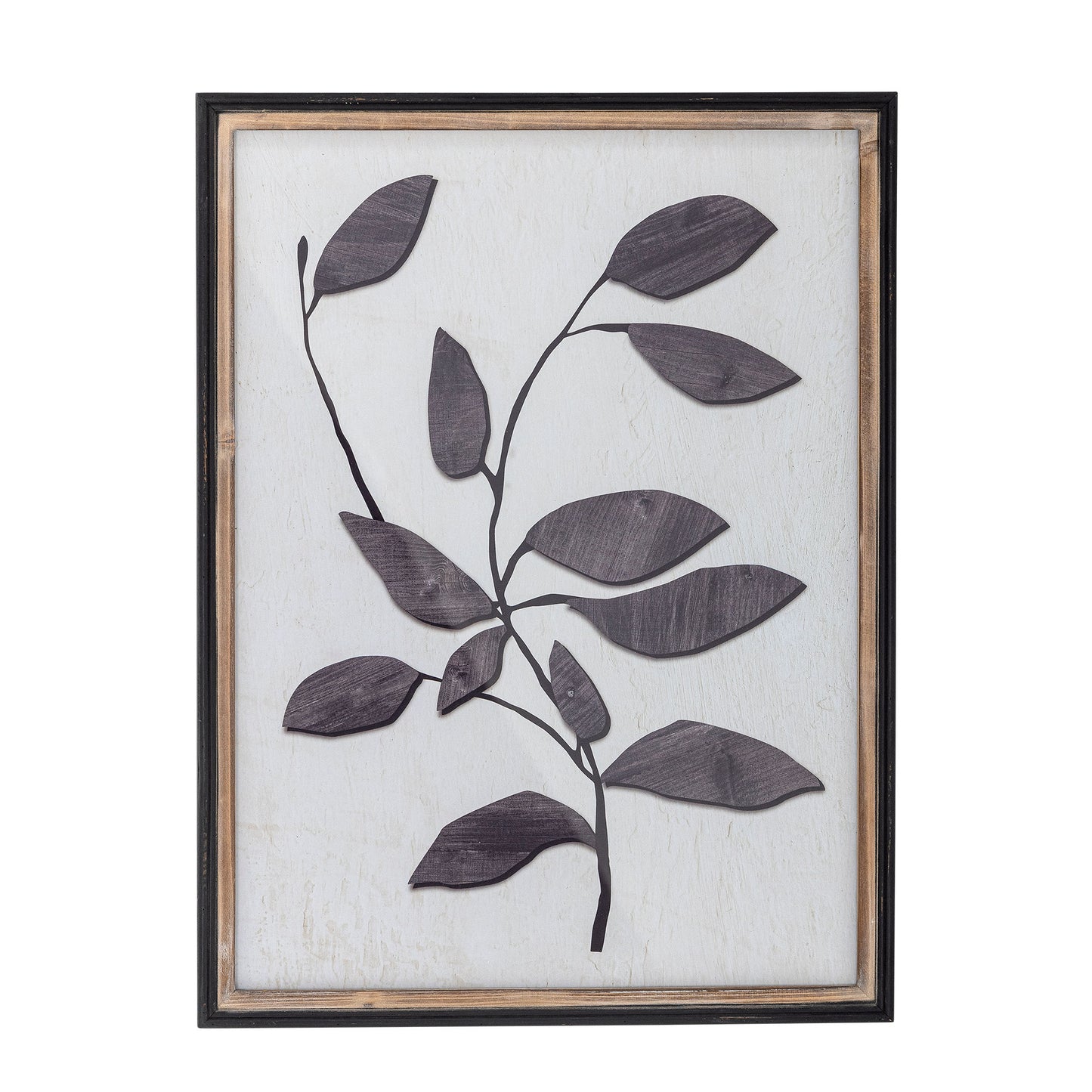 Lousa illustration 45x60 cm med ramme i fyrretræ – botanisk vægkunst fra Creative Collection